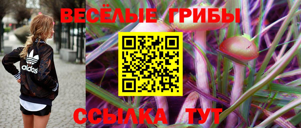 Псилоцибиновые грибы мицелий  Вход с VPN  Псилоцибиновые грибы Magic Shrooms  Нарткала 